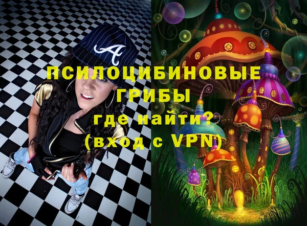 СК Липки