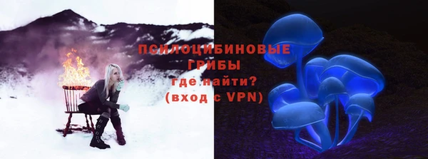 СК Липки