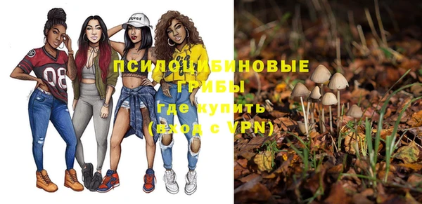 эйфоретик Лихославль